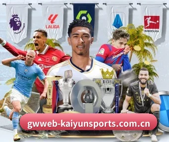 开云体育网站 APP(kaiyunsport)